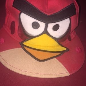 Angry birds flatbill
